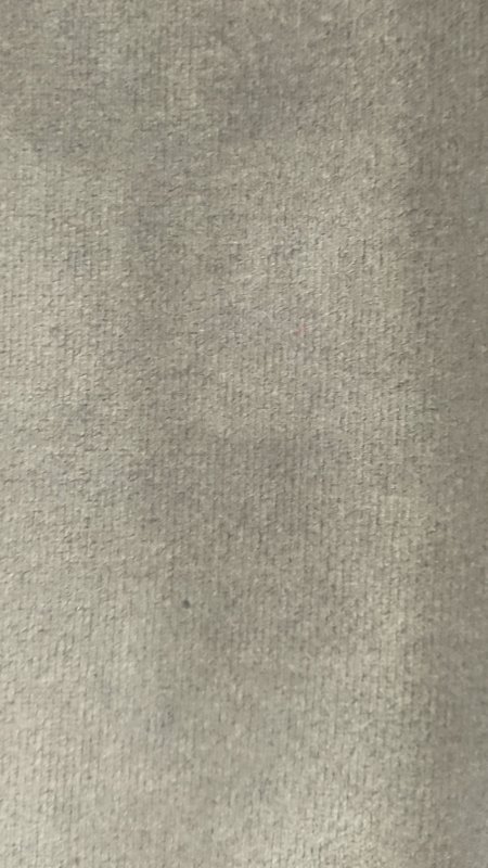 231